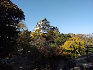 20260202W本丸御殿跡から和歌山城天守閣